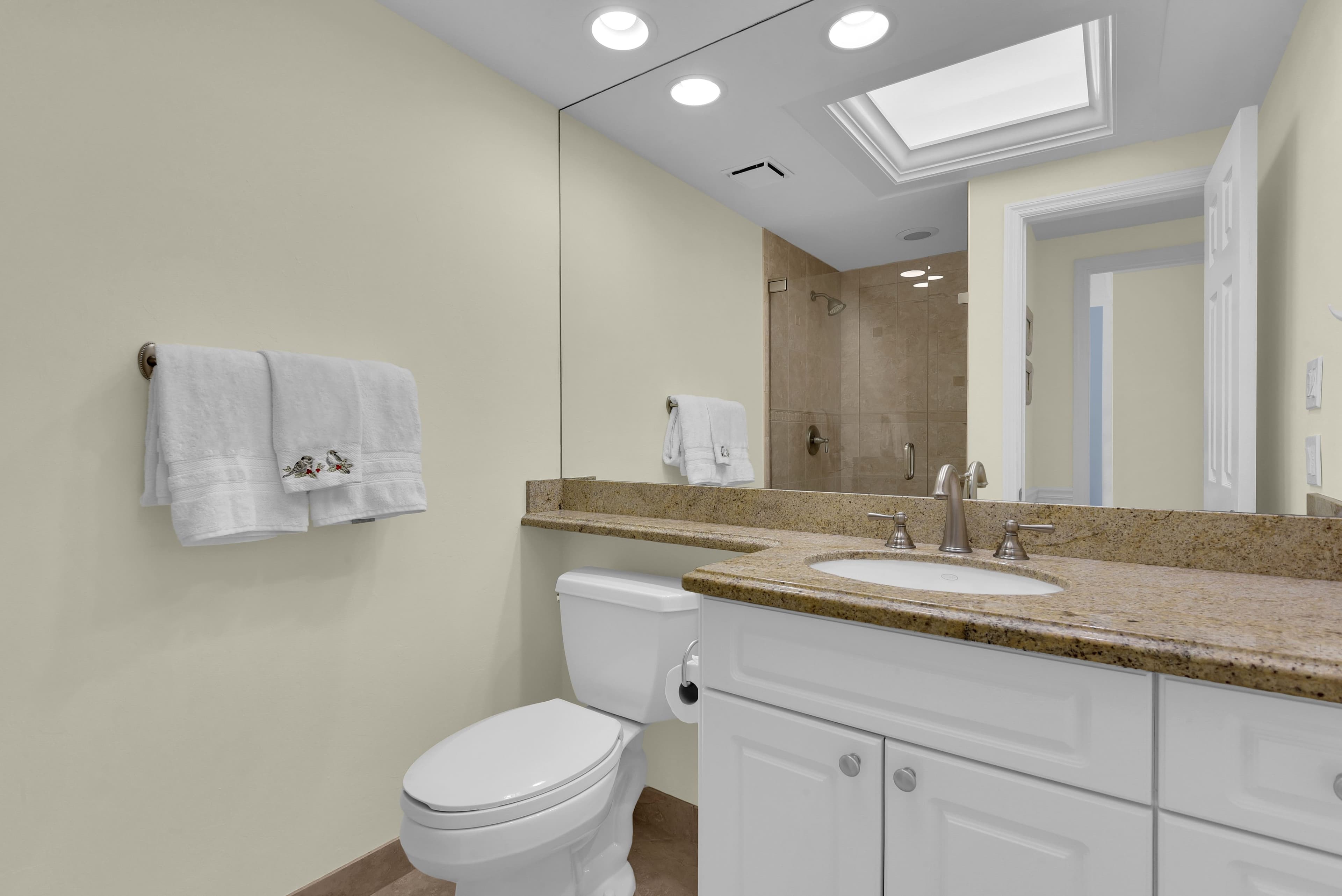 Guest bathroom